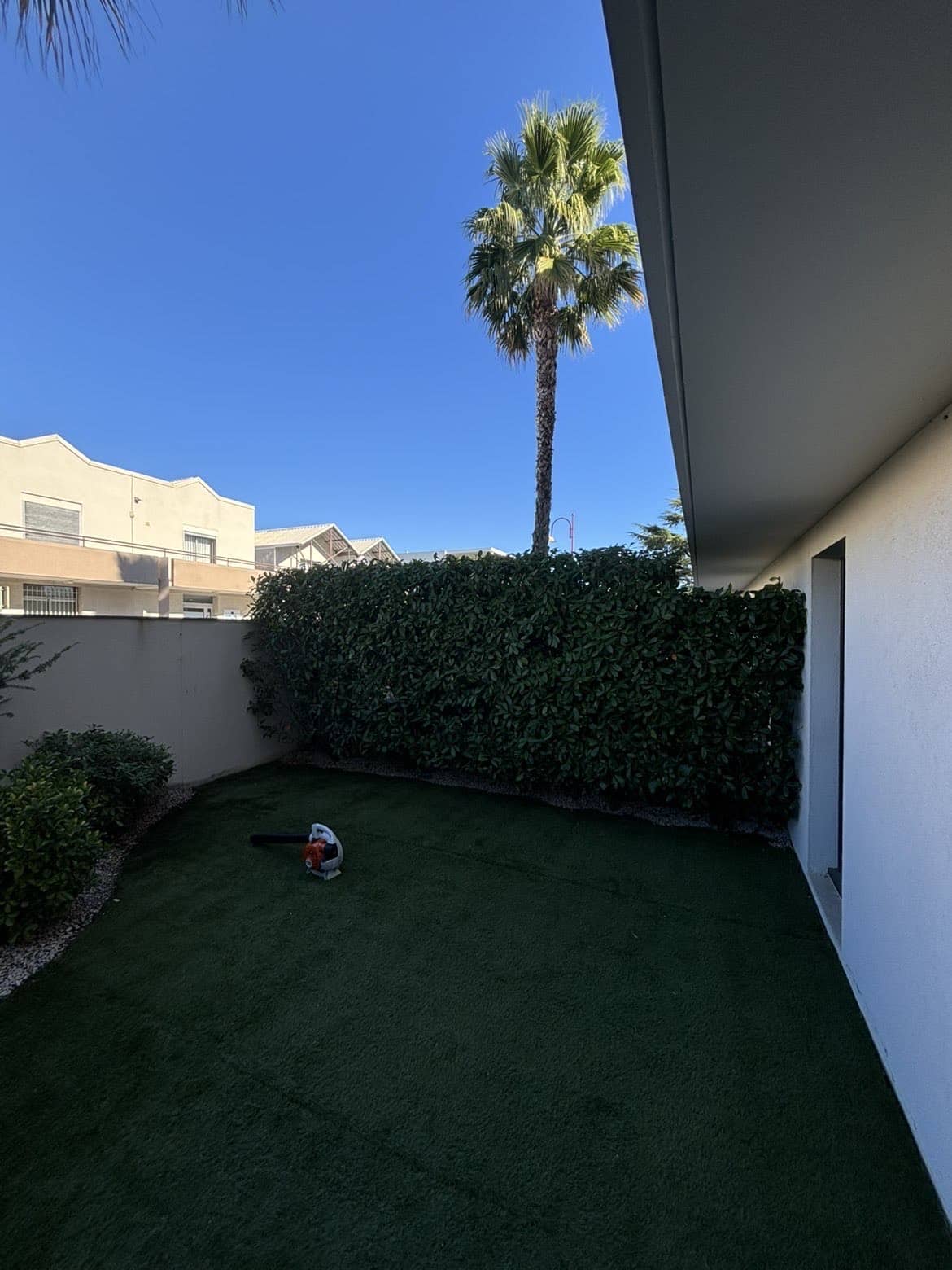 Patio moderne avec gazon synthétique et haute haie. Un palmier s'élève sous le ciel bleu. Souffleur de feuilles prêt pour l'entretien.