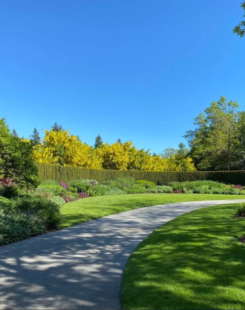Jardin luxuriant: sentier fleuri et haies jaunes Allée pavée sinueuse traversant une pelouse verte impeccable, bordée d'arbustes luxuriants et d'un mur de fleurs jaunes éclatantes sous un ciel bleu clair.